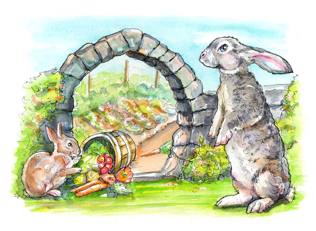 Garden Mysteries story illustration